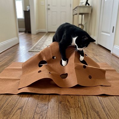 Tapis pour chat pour un ou plusieurs chats