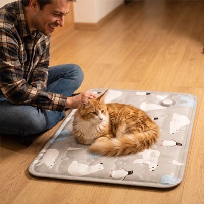 Tapis rafraichissant Chat au sol monsieur caresse le chat dessus 