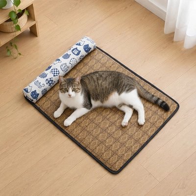 Tapis rafraichissant Chat dans salon chat couché regarde 