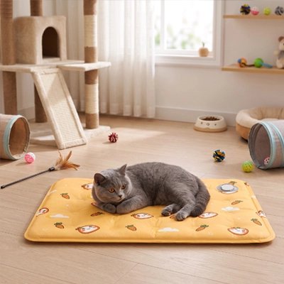 Tapis rafraichissant Chat et chartreux dans salle de jeux 