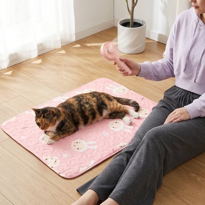 Tapis rafraichissant Chat et chat allongé femme assise avec ventilateur