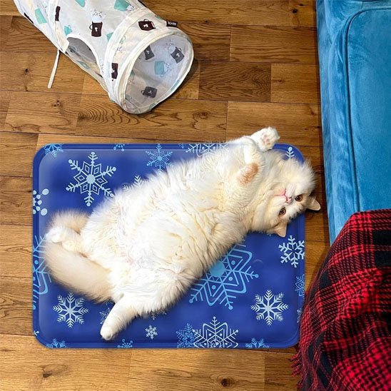 Tapis rafraichissant Chat et chat blanc jouant dessus