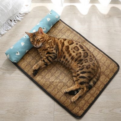 Tapis rafraichissant Chat et chat couché 
