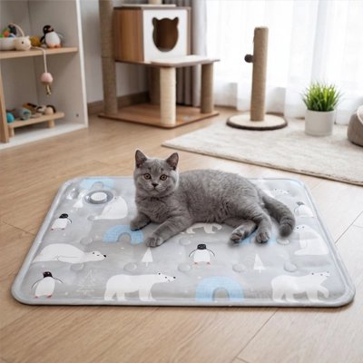 Tapis rafraichissant Chat et un chaton couché dessus au salon