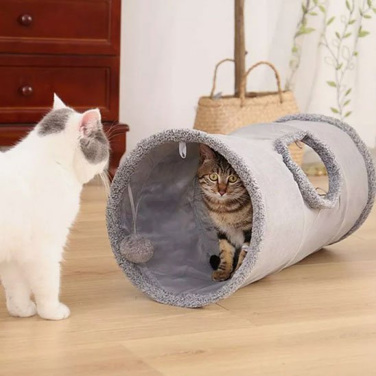 Tunnel à chat | Féli - Confort - Chatjoue
