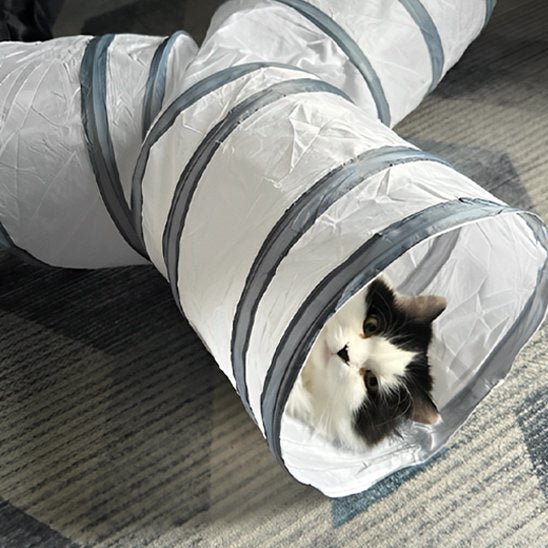 Tunnel chat | Pliable - Chatjoue