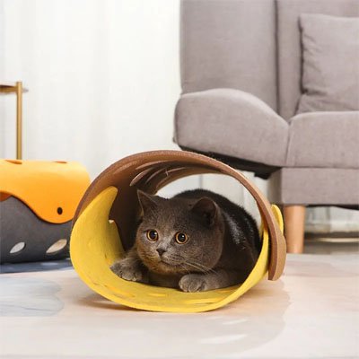 Tunnel Chat | Pliable - Chatjoue