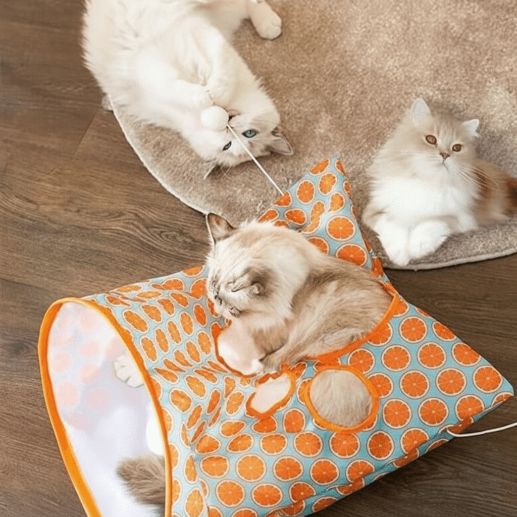 Tunnel Pliable pour Chat avec Papier Bruissant - Jouet Interactif - Chatjoue - Chatjoue