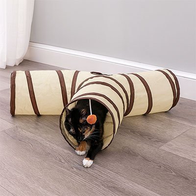 Tunnel pour chat Y et une chatte qui sort