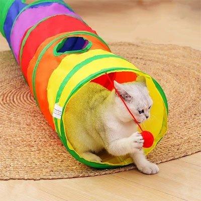 Tunnel pour chat avec chat dedans joue avec pompon