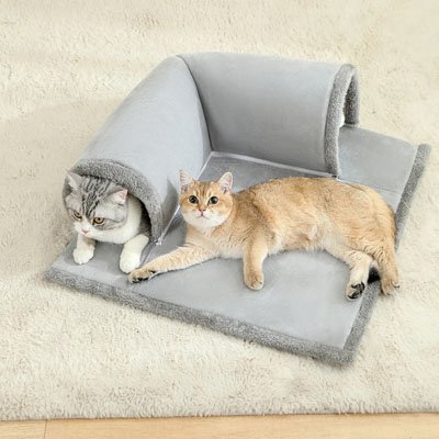 Tunnel pour Chat | Cozypet - Chatjoue