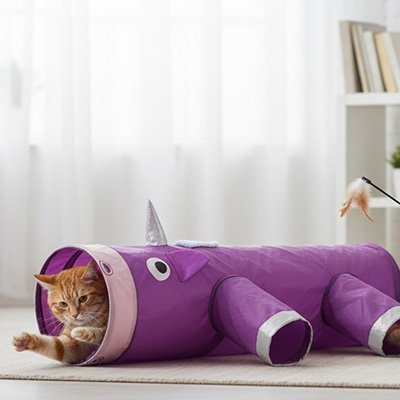 Tunnel pour chat | Pliable - Chatjoue