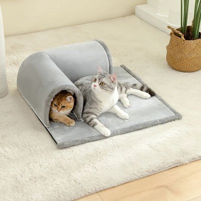 Tunnel pour Chat | Cozypet - Chatjoue