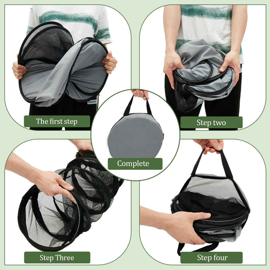 Tunnel pour Chat | FéliFun - Chatjoue