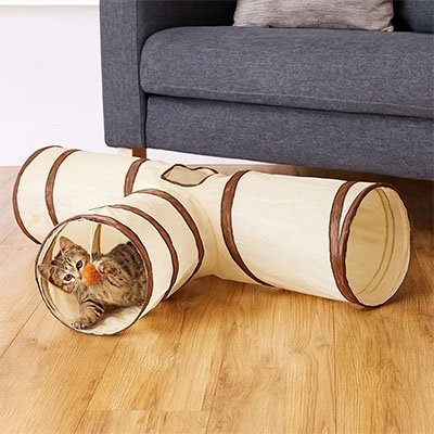 Tunnel pour chat en T avec un chaton  joue dedans